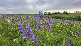 IMG_0857.jpg