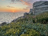 IMG_9423.jpeg