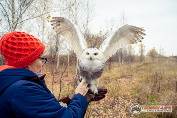 Трофи-лайф фото 4х4 экспедиция Верхний Дон 2018 (265).jpg