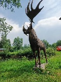 IMG_20260613_134938_896.jpg