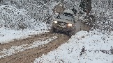 20251115_124151.jpg