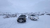 20251125_112624.jpg