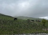 IMG_8463.JPEG