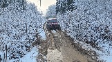 20251115_122840.jpg