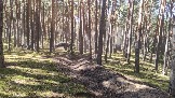 Трофи-лайф фото 4х4 покатушка Каширский Зигзаг 07.09.2024 -  (69).jpg
