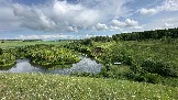 IMG_1292.jpg