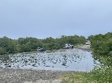 IMG_9267.jpeg