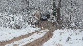 20251115_123719.jpg