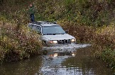 IMG_8790.jpeg