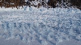 DJI_0880.JPG