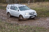 IMG_8608.jpeg
