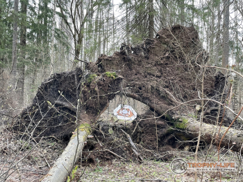 Фото Трофи-лайф 4х4 покатушка Кудыкина Гора 23.04.22 - 138.JPG