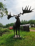 IMG_20260613_134947_610.jpg