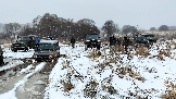 Трофи-лайф фото 4х4 покатушка Старокалужский Тракт 07.12.2024 -  (13).png