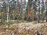 IMG_5675.JPG