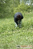 13норот95.jpg