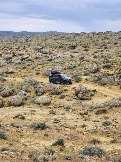 Трофи-лайф Экспедиция Казахстан Май 2024 (35).jpg