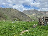 IMG_8583.JPEG