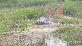20260510_141241.jpg