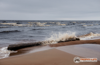 _DSC6508.jpg