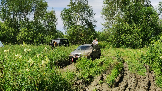 Моментальный снимок 20 (12.07.2023 21-29).png
