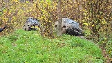 20251011_112310.jpg