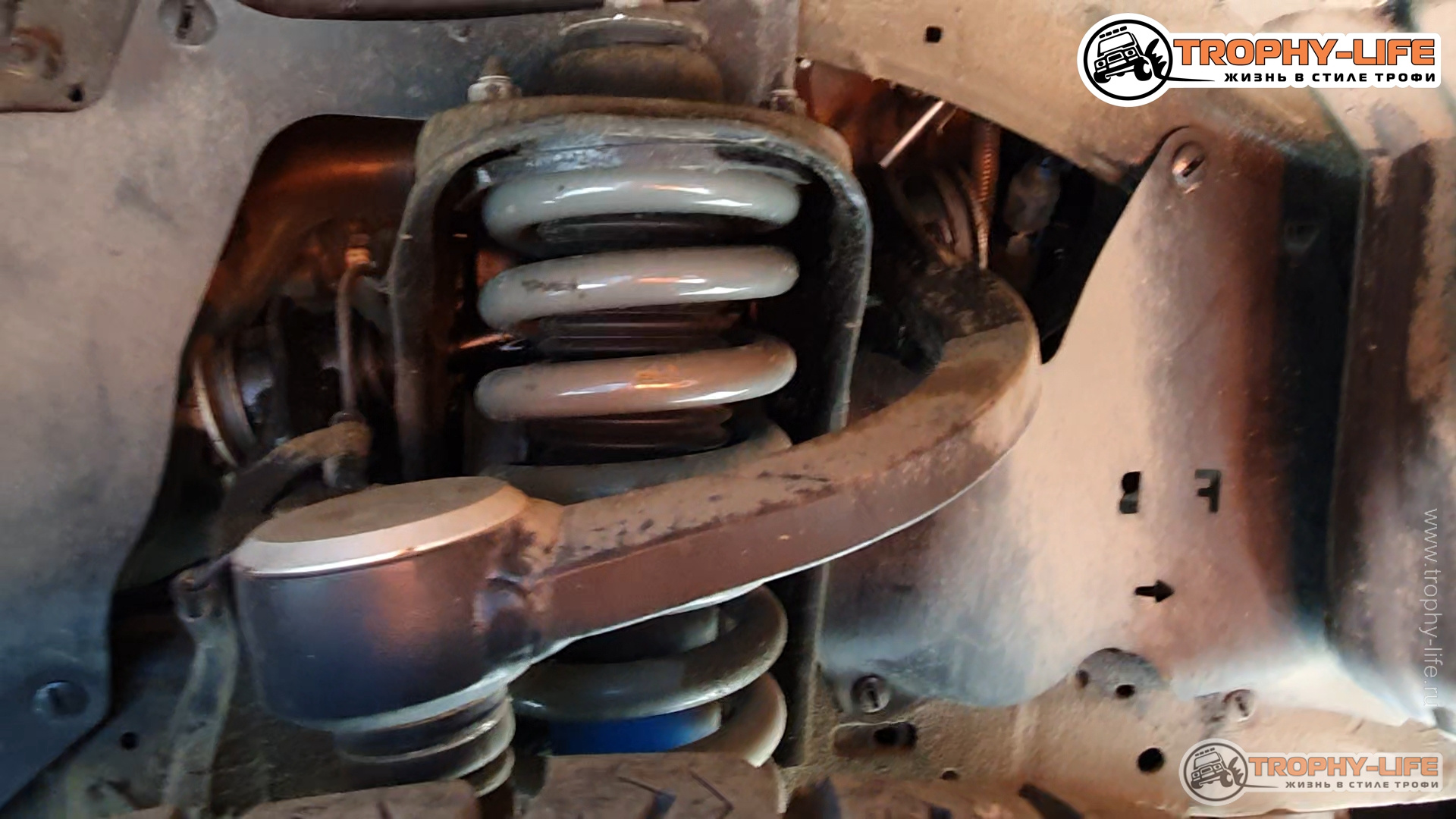 20260422 тюнинг хайл белый ЛПВЗ_01_01_31_03.jpg 20260422 тюнинг хайл белый ЛПВЗ_01_01_31_03.jpg