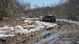 20260329_123527.jpg
