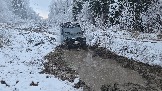 20251115_122447.jpg