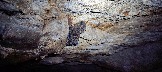 IMG_20231104_170632.jpg