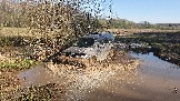 20250420_163627.jpg