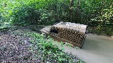 20240803_164631.jpg