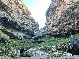 IMG_8710.JPEG