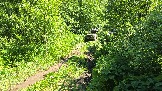 20260606_124318.jpg