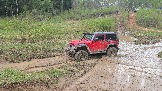 20260510_140209.jpg