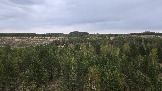 20250503_174837.jpg