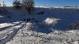 IMG_2714.JPG