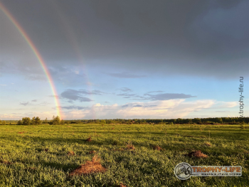 Фото Трофи-лайф 4х4 покатушка Шелковый Путь 28.05.22 - 297.jpeg
