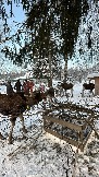 IMG_3432.JPG