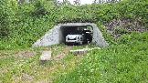 20260530_134322.jpg