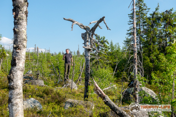 _DSC7360.jpg