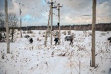 Трофи-лайф фото 4х4 корпоративное мероприятие 21.12.2024 -  (123).JPG