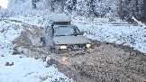 20251115_122624.jpg