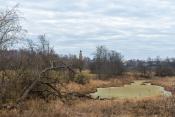 _DSC6755.jpg