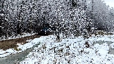 Трофи-лайф фото 4х4 покатушка Можайские Тропы 15.11.2025 - (24).jpg