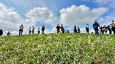 IMG_1311.jpg