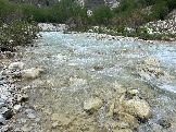 IMG_8622.JPEG