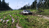 Трофи-лайф фото 4х4 покатушка Ожирелье Озёр 30.04.2024 -  (93).png