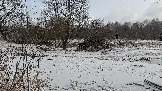 Трофи-лайф фото 4х4 покатушка Школа 4х4 16.02.2025 -  (89).jpg