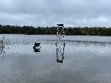 IMG_5679.JPG